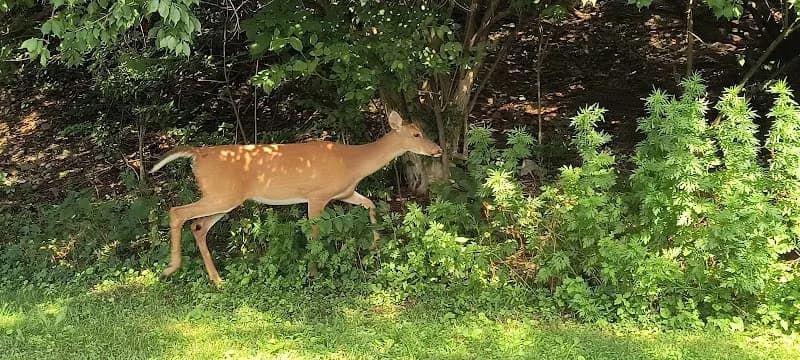 View of Montour Trail Access in Bethel Park, PA