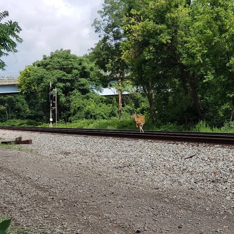 View of Montour Trail in Peters Township, PA