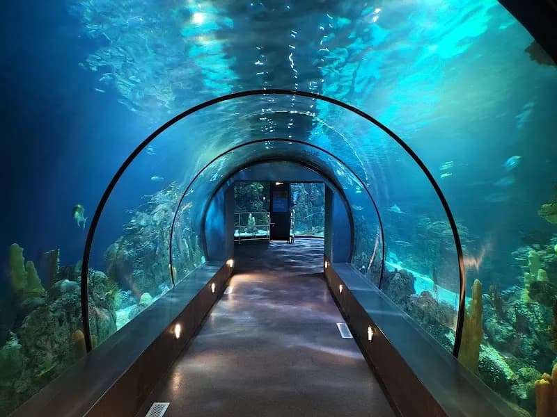 Moody Gardens Attractions Theme Park amusement park in Galveston, TX