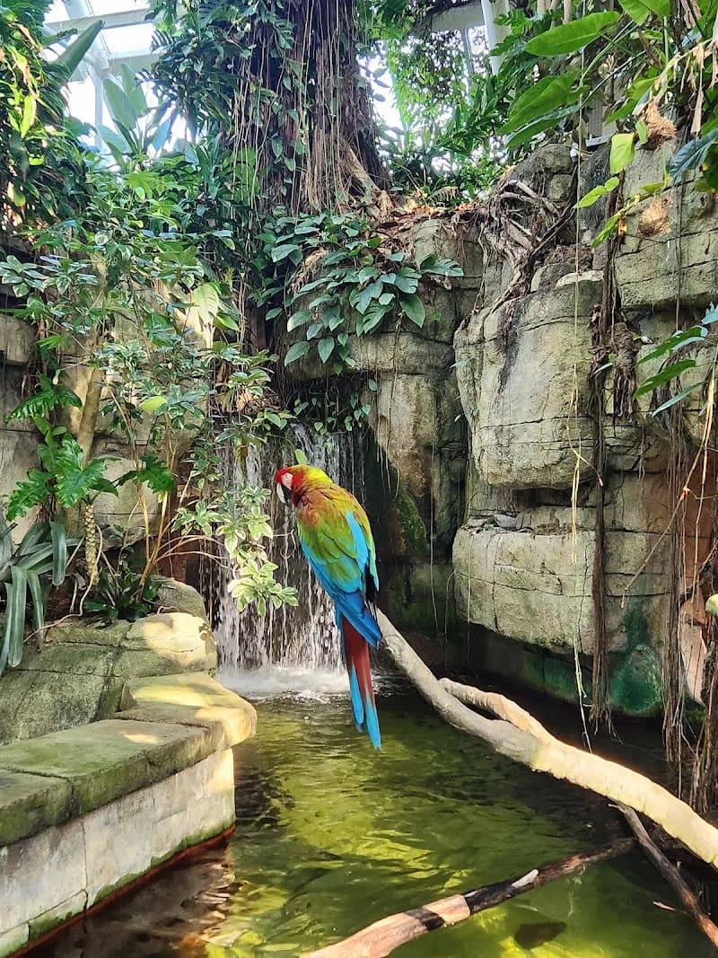 View of Moody Gardens Attractions Theme Park in Galveston, TX