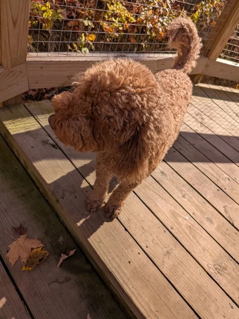 View of Moraine Park in Highland Park, IL