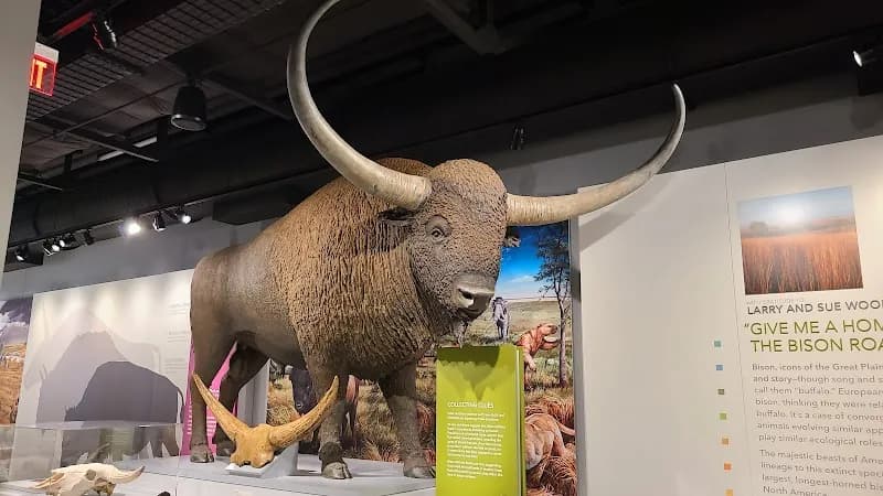 View of Morrill Hall in Lincoln, NE