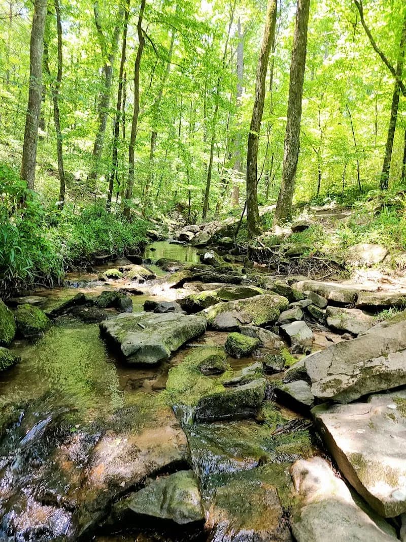 View of Moss Rock Preserve in Hoover, AL