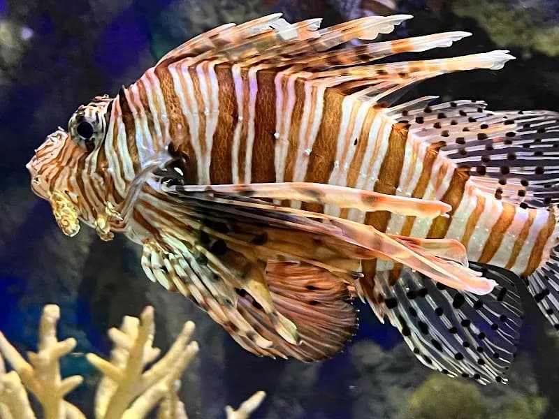View of Mote Marine Laboratory in Sarasota, FL