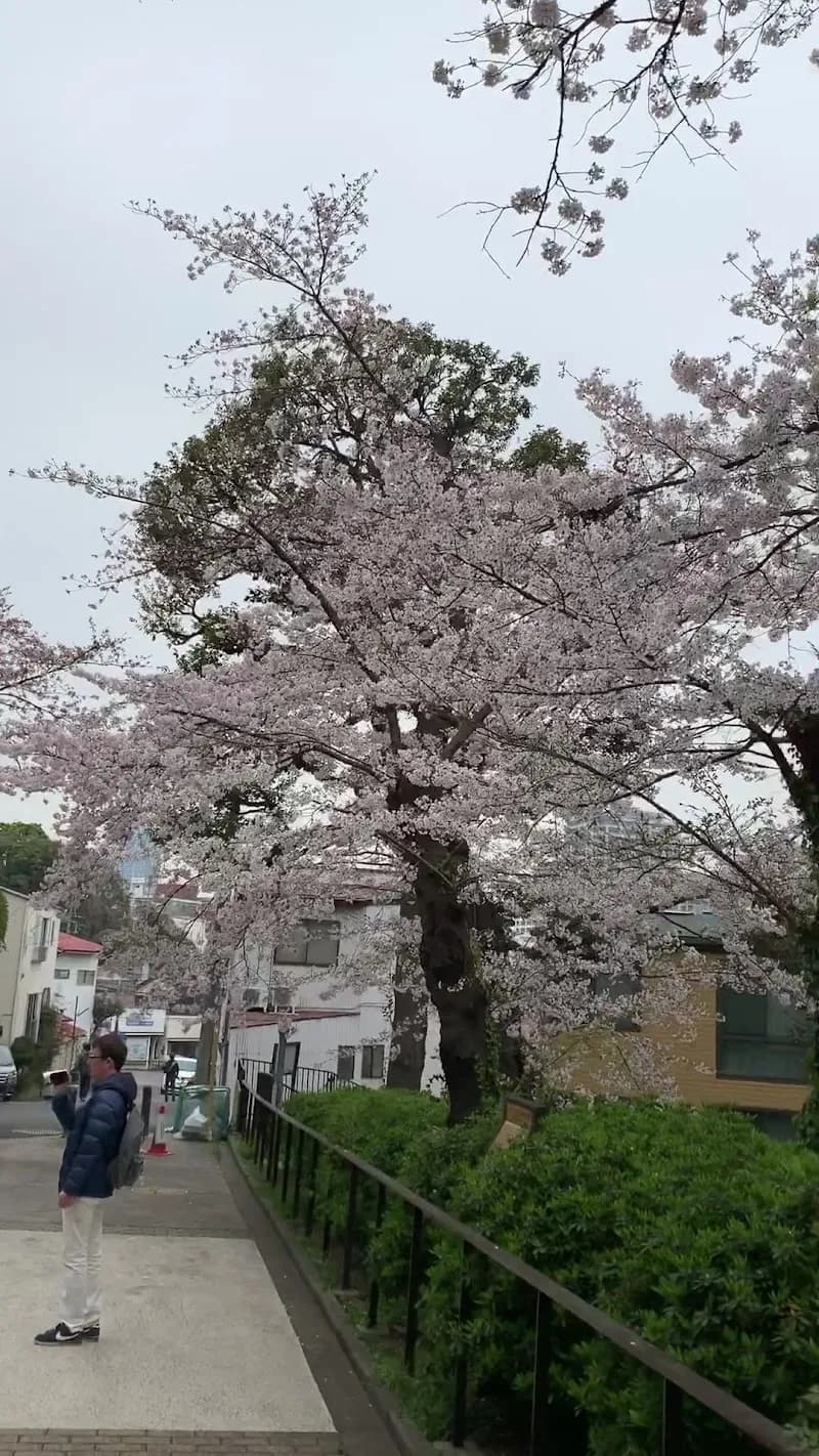 View of Motomachi Park in Yokohama, YH