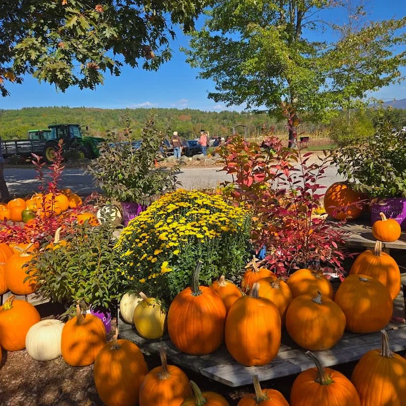 View of Moulton Farm in Weare, NH