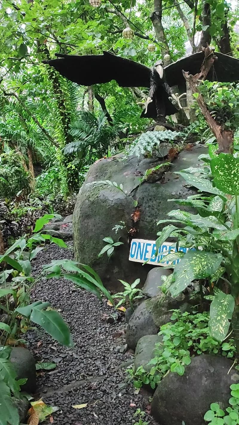 View of Mount Purro Nature Reserve in Antipolo, NCR