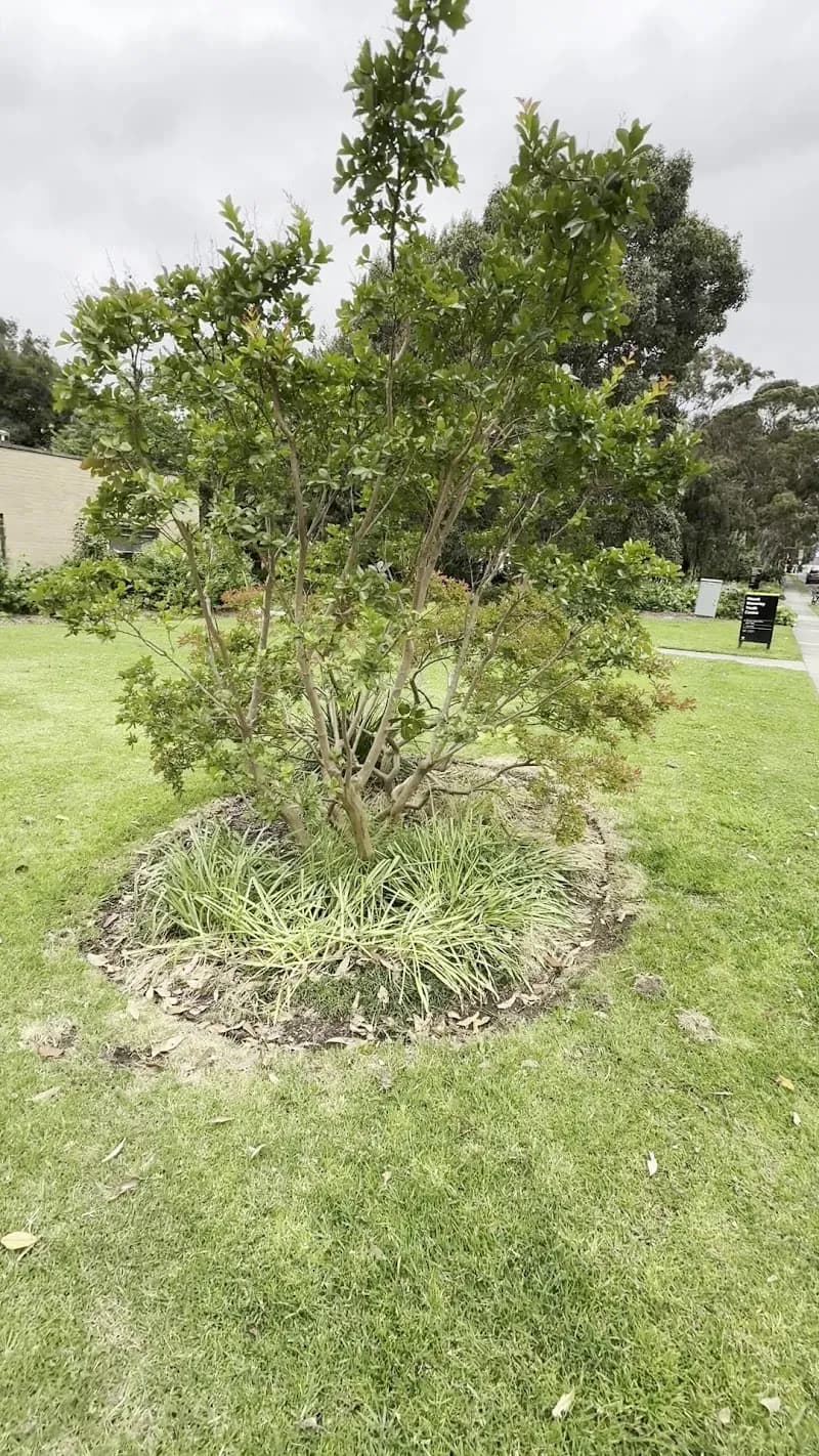 View of Mount Waverley Library in Mount Waverley, VIC