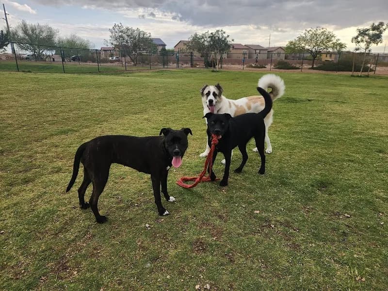 Mountains Edge Dog Park dog park in Mountains Edge, NV