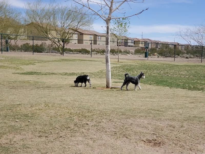 View of Mountains Edge Dog Park in Mountains Edge, NV