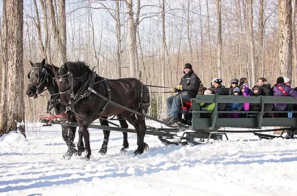 View of Mountsberg Conservation Area in Burlington, ON