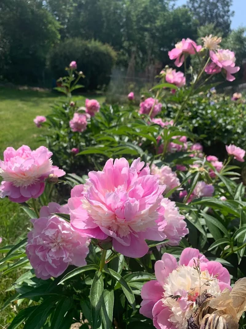 View of Mt Lebanon Park in Mount Lebanon, PA