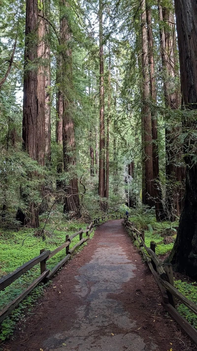 View of Muir Woods Trading Company in Mill Valley, CA