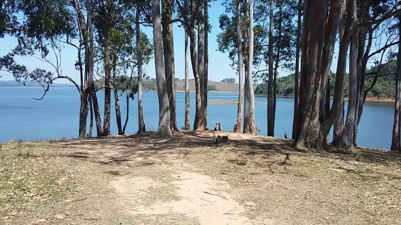 View of Municipal Park Pinheirinho In Salesópolis in Salesópolis, SP