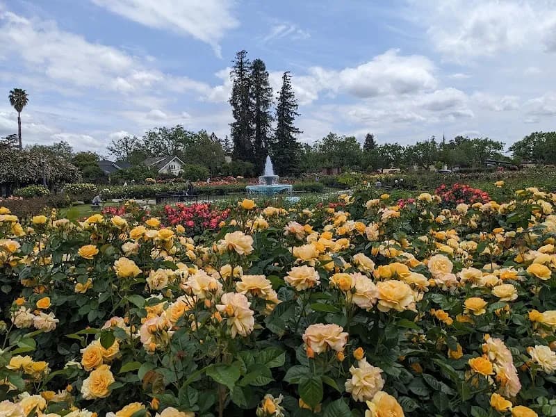 View of Municipal Rose Garden in San Jose, CA