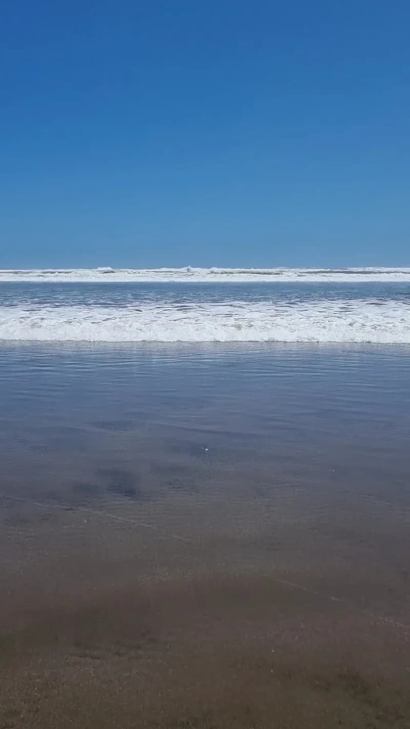 View of Muriwai Beach Access via Kumeu in Kumeu, AKL