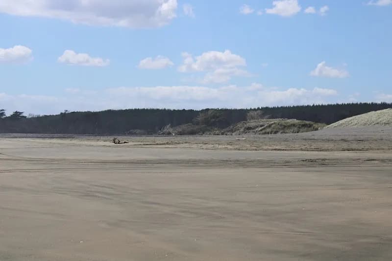 View of Muriwai Beach Access via Kumeu in Kumeu, AKL