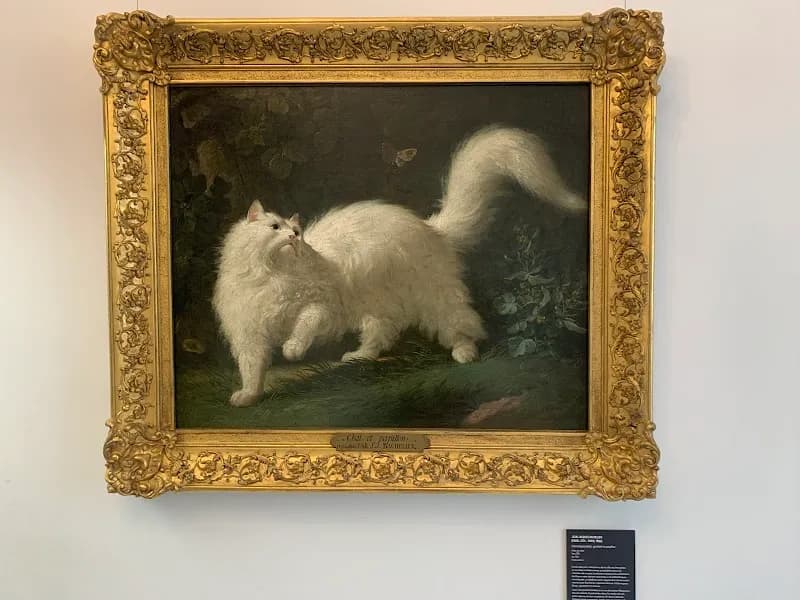 View of Musée Lambinet in Versailles, IDF