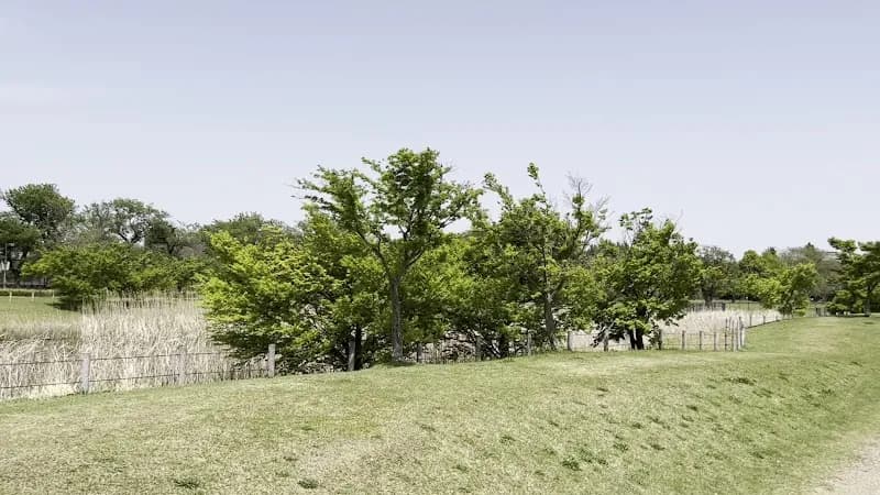 View of Musashino-no-mori Park in Musashino, Tokyo