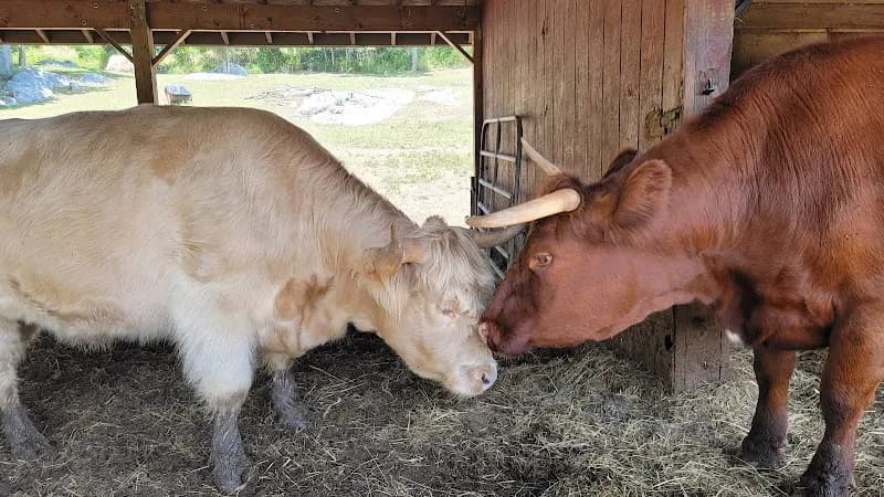 View of Muscoot Farm in Westchester, NY