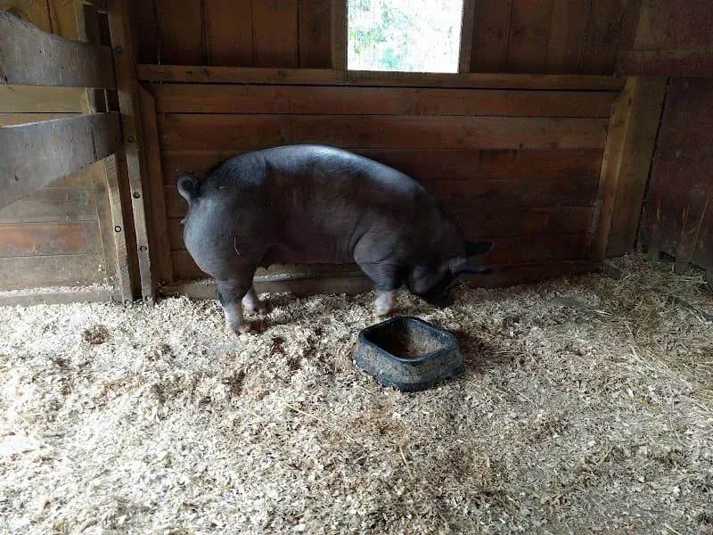 View of Muscoot Farm in Westchester, NY