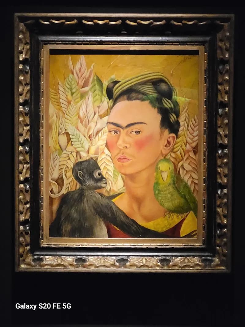 View of Museo de Arte Latinoamericano de Buenos Aires in Buenos Aires, BA