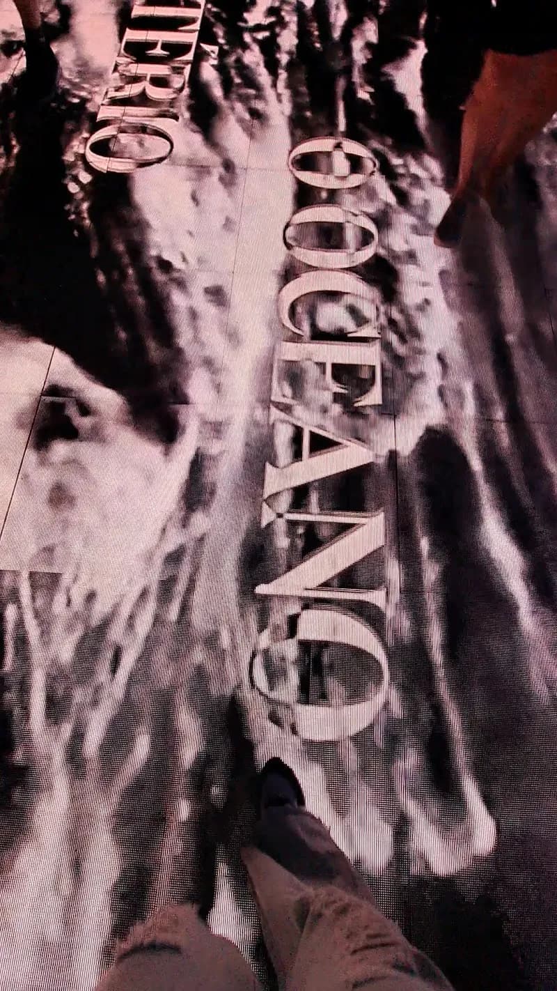 View of Museu do Amanhã in Rio de Janeiro, RJ