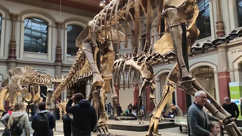 View of Museum für Naturkunde Berlin in Berlin, BE