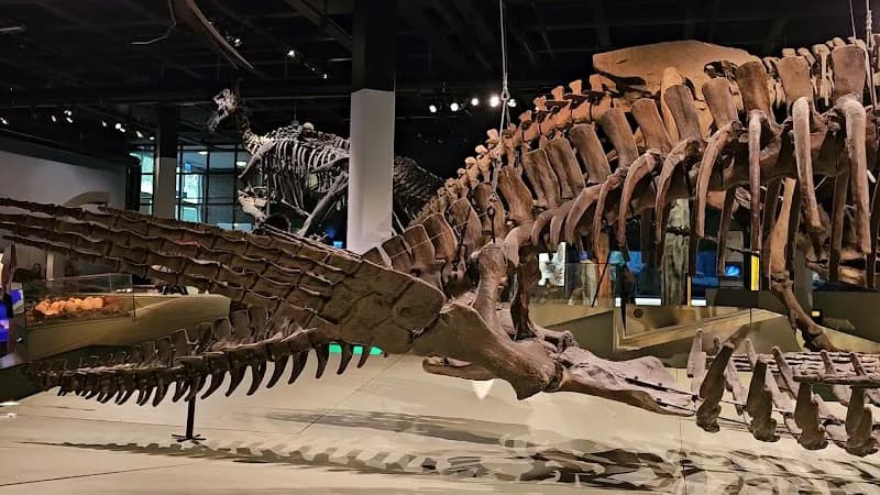 View of Museum of Natural History in Stockholm, STK