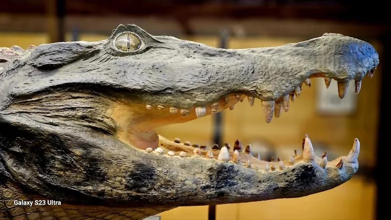 View of Museum of Natural History Vienna in Vienna, W