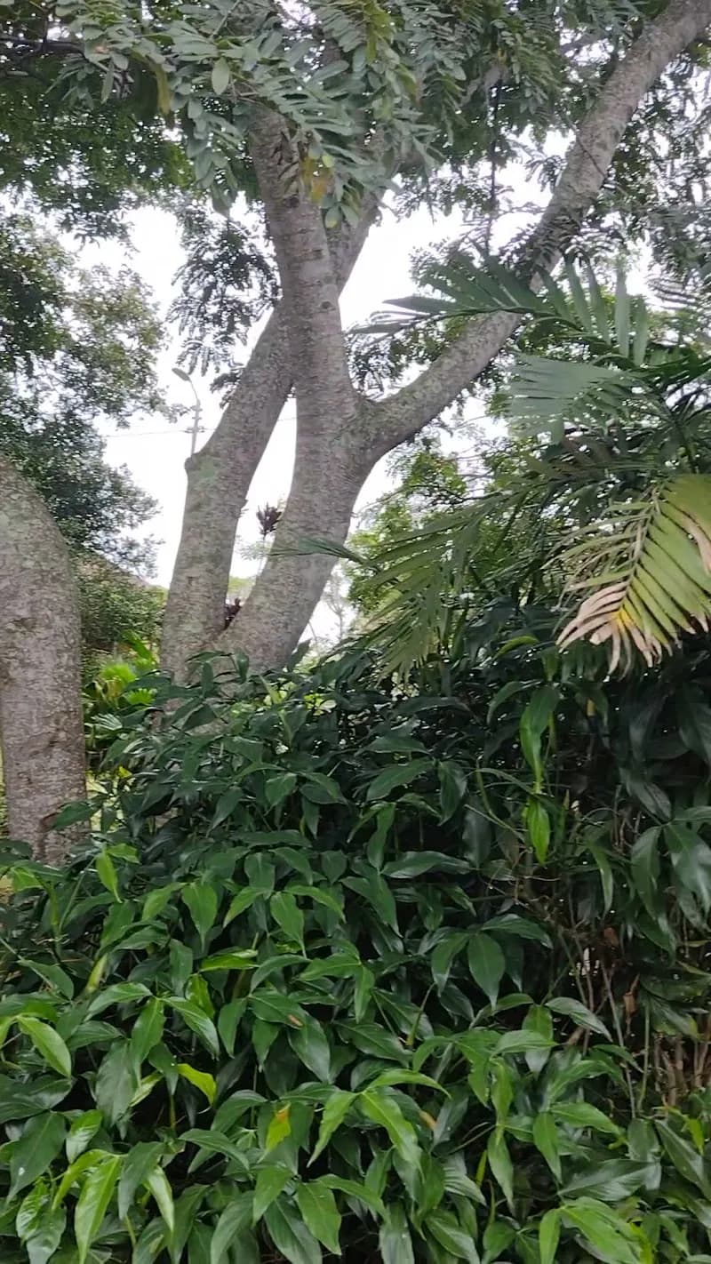 View of Museum of Popular Culture in Heredia, HD