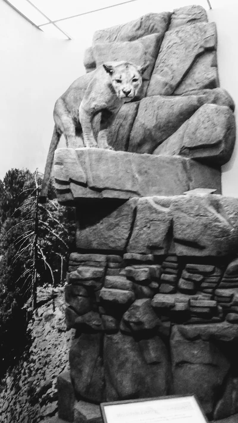 View of Museum of Riverside in Riverside, CA