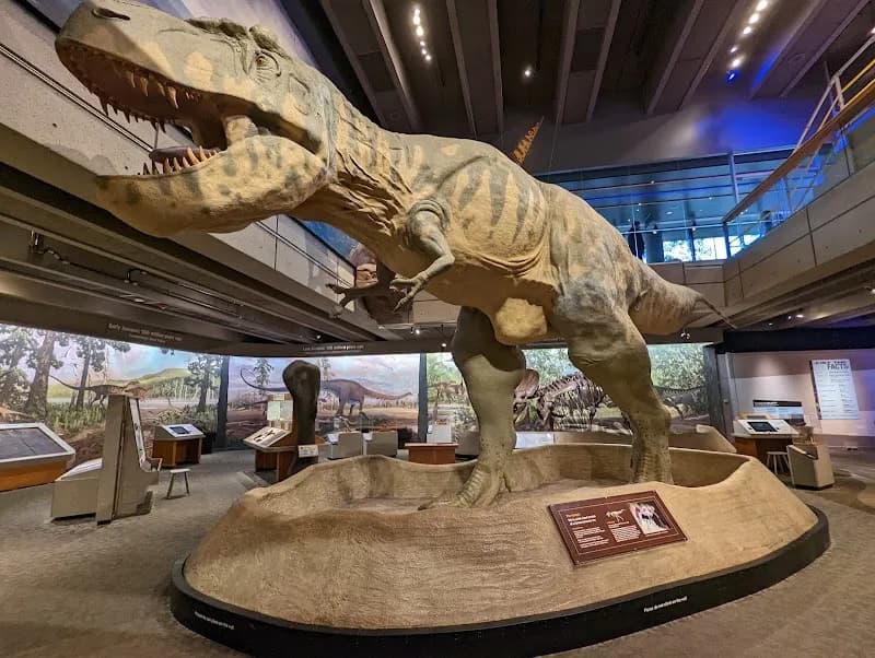 Museum of Science tourist attraction in Boston, MA