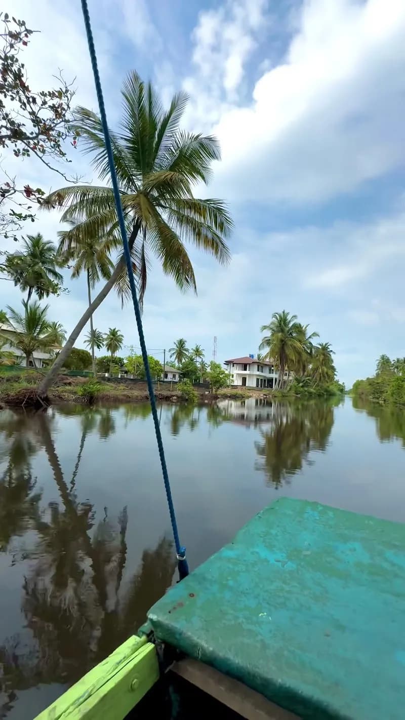 View of Muthurajawela Marsh in Negombo, WP
