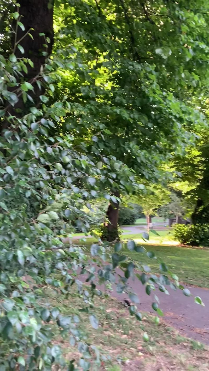 View of Myrtle Square Park in Ranelagh, D