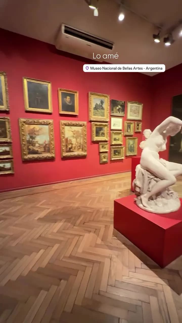 View of Nacional Museum of Fine Arts in Recoleta, BA