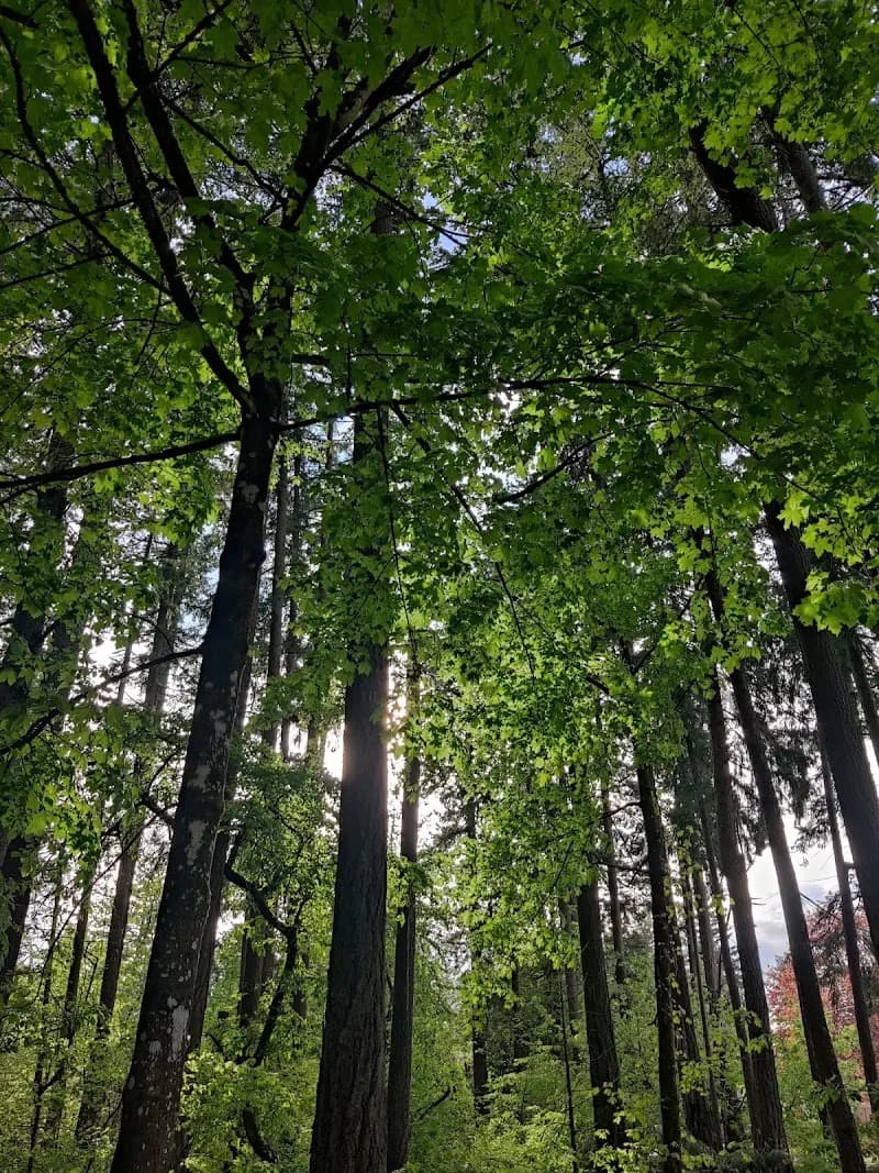 View of Nadaka Nature Park in Gresham, OR