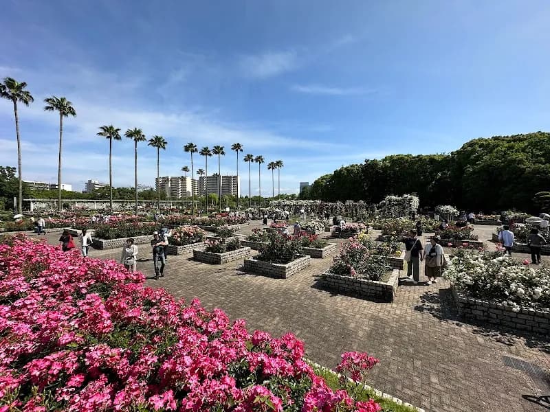 View of Nagai Botanical Garden in Shimamoto, Osaka