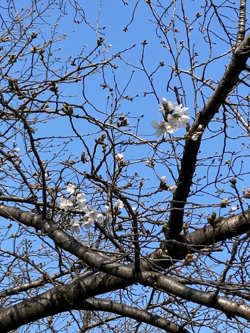View of Nagai Park in Kawachinagano, Osaka
