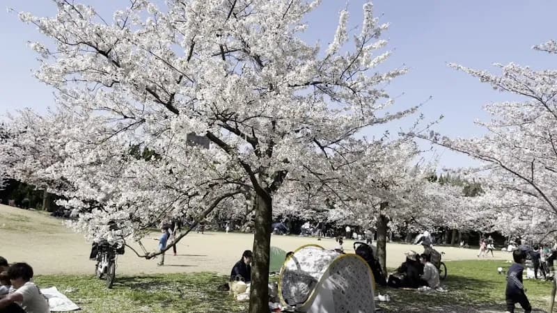 View of Nagai Park in Kawachinagano, Osaka