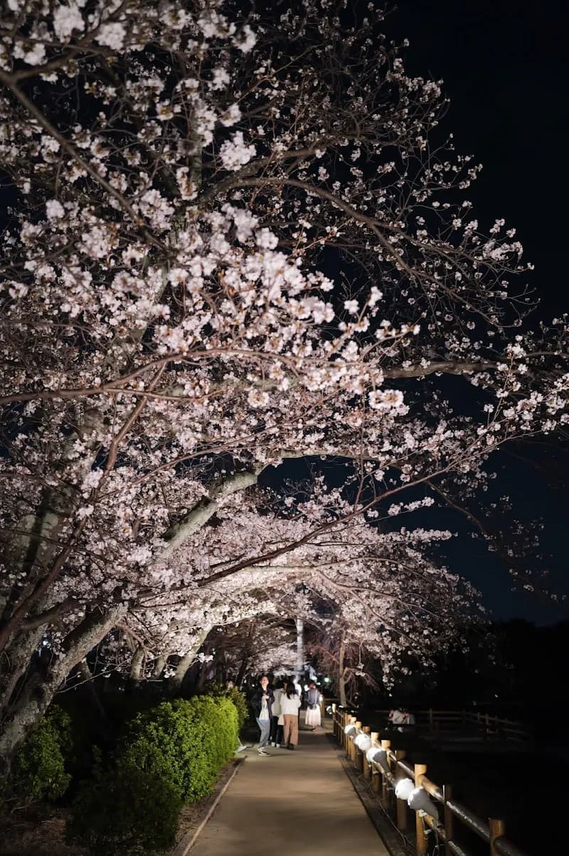 View of Nagaoka Tenmangu Shrine in Nagaokakyo, KYO