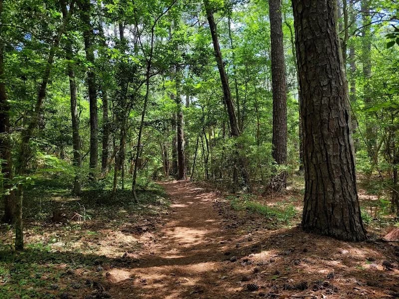 View of Nags Head Woods Preserve in Nags Head, NC