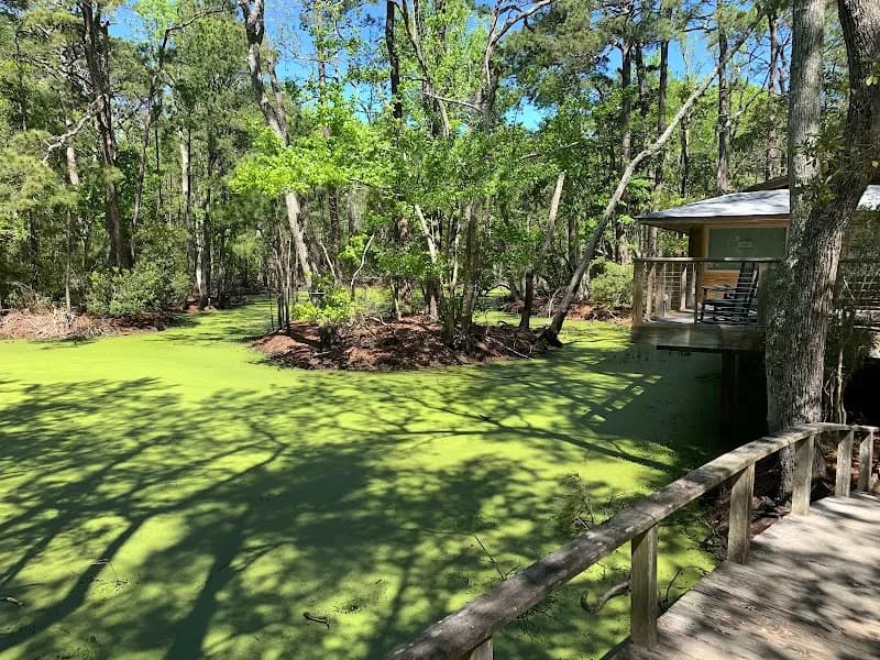View of Nags Head Woods Preserve in Nags Head, NC