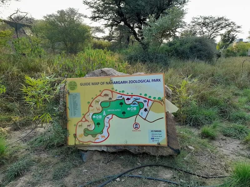 Nahargarh Biological Park zoo in Amber, RJ