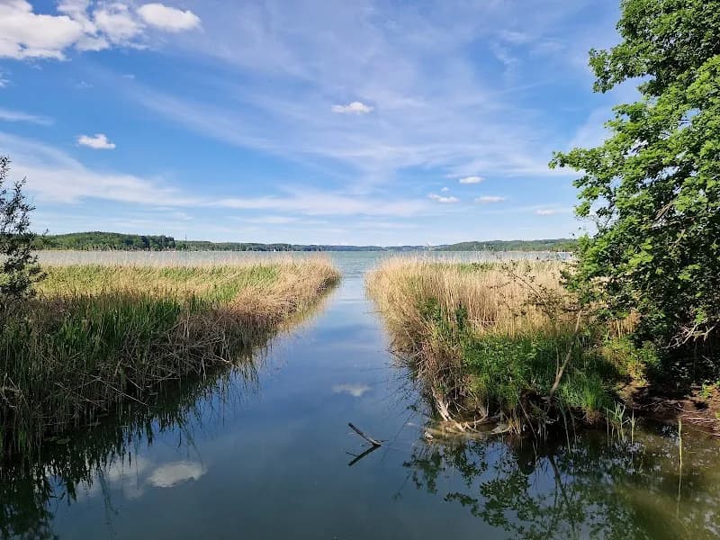 Naherholungsgebiet Südufer Beach beach in Martinsried, BY