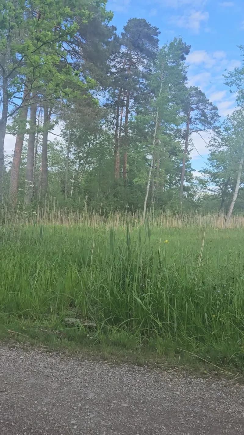 View of Naherholungsgebiet Südufer Beach in Martinsried, BY