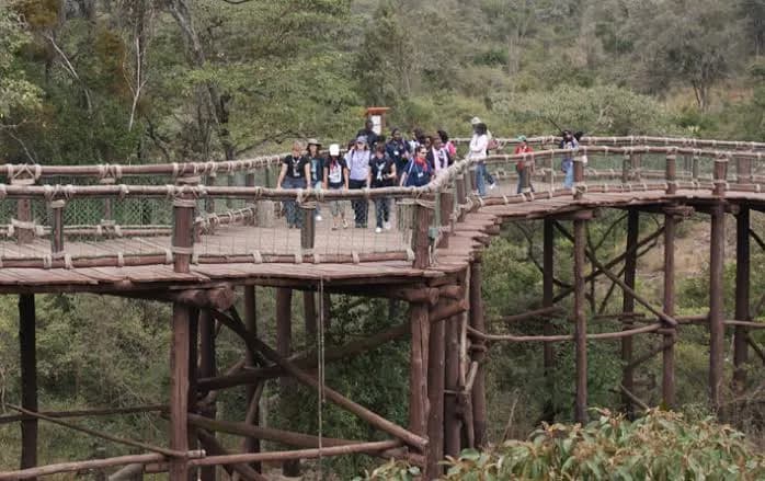 Nairobi Safari Walk zoo in Langata, Nairobi