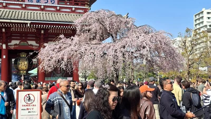 View of Nakamise Shopping Street in Kawasaki, Kanagawa