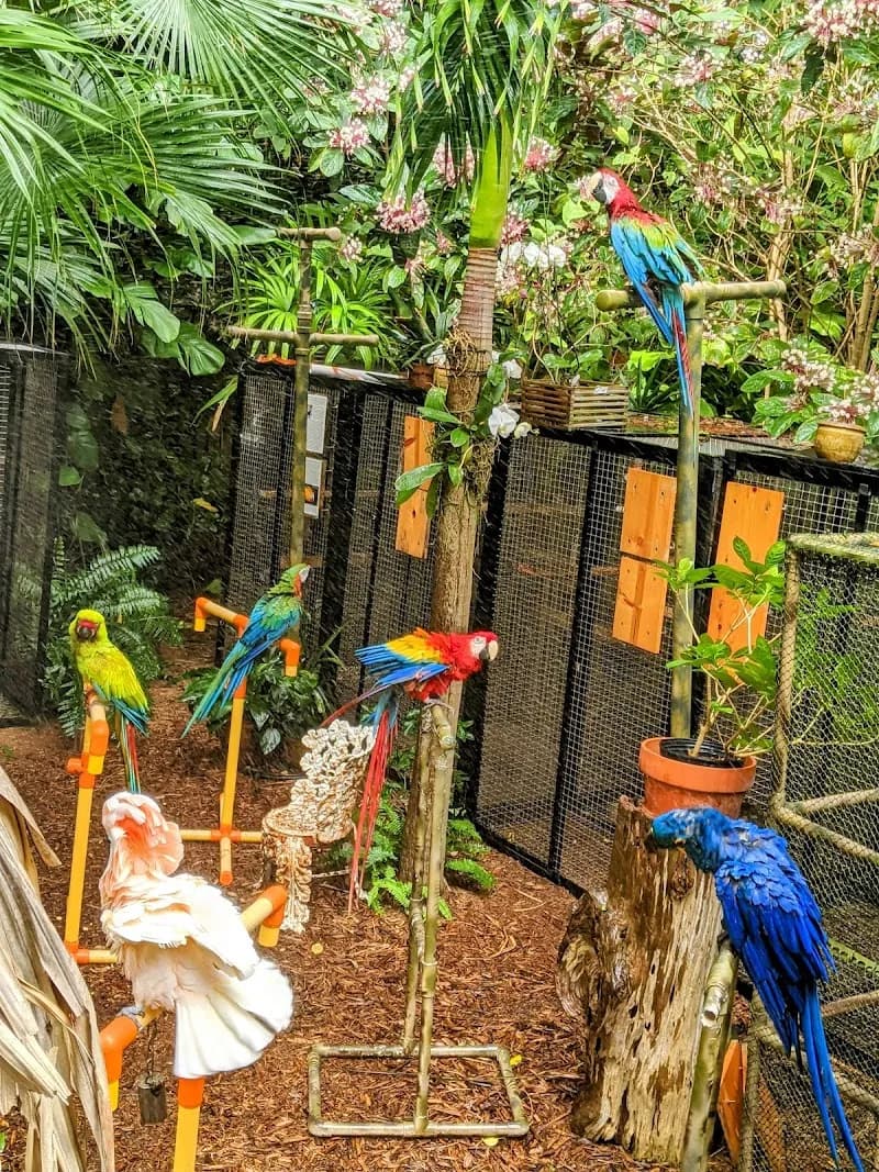 View of Nancy Forrester's Secret Garden in Key West, FL