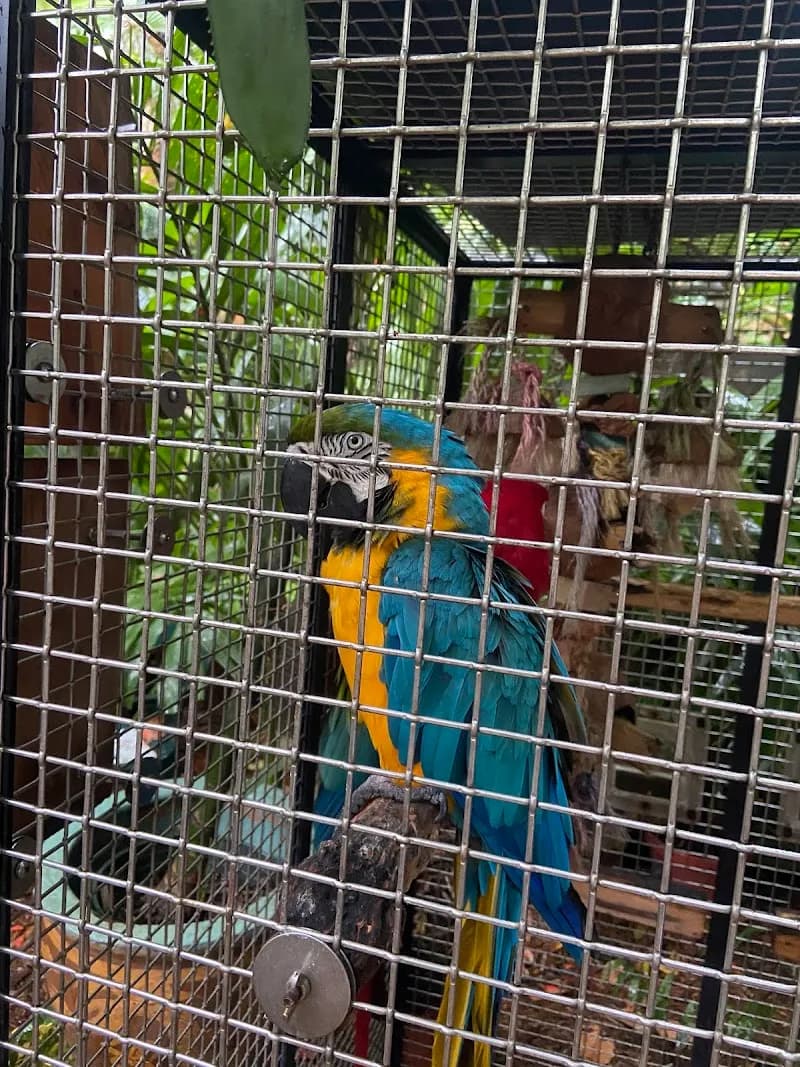 View of Nancy Forrester's Secret Garden in Key West, FL